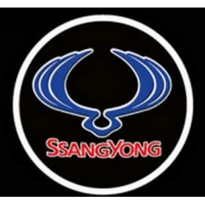 !РАСПРОДАЖА! Проекция логотипа SSANGYONG (313)